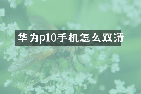 华为p10手机怎么双清