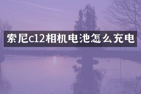 c12相机电池怎么充电