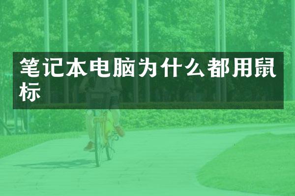 笔记本电脑为什么都用鼠标