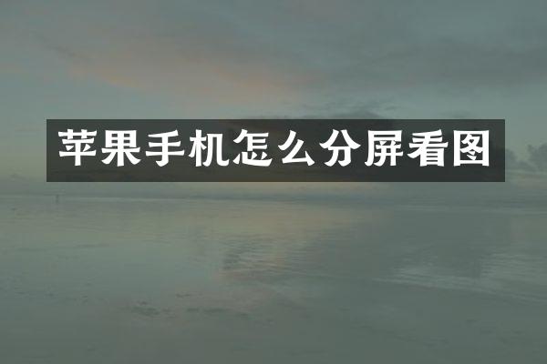 苹果手机怎么分屏看图