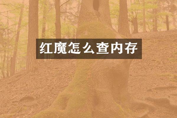 红魔怎么查内存