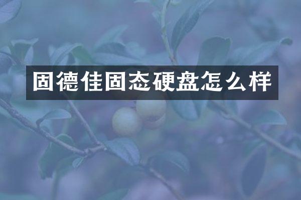固德佳固态硬盘怎么样