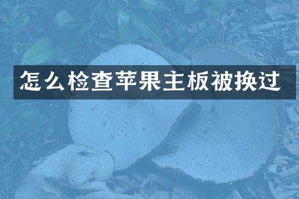 怎么检查苹果主板被换过