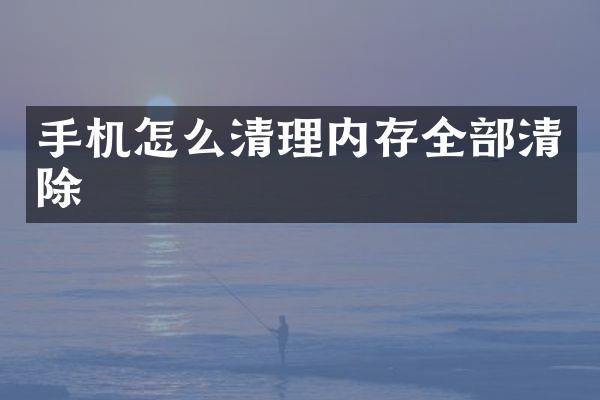 手机怎么清理内存全部清除