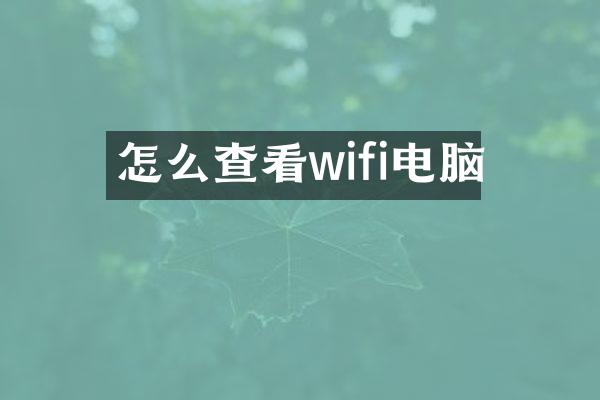 怎么查看wifi电脑