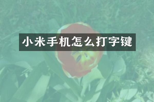 小米手机怎么打字键