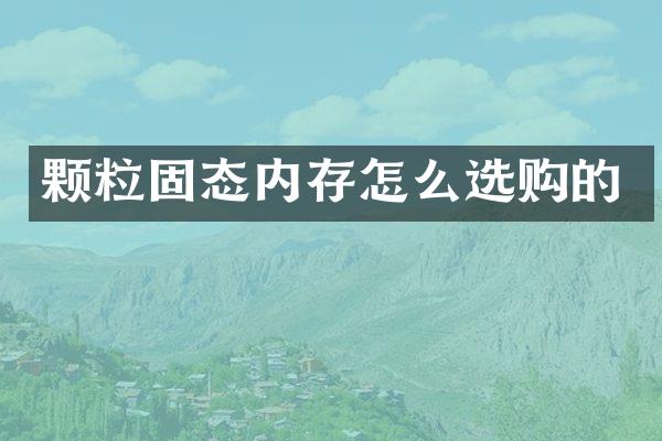 颗粒固态内存怎么选购的