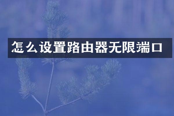 怎么设置路由器无限端口