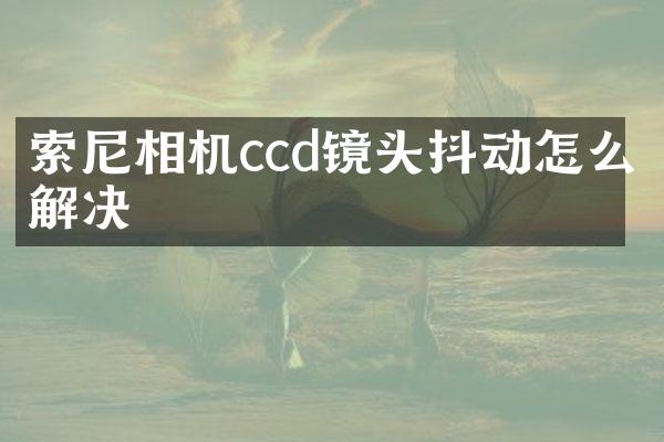 相机ccd镜头抖动怎么解决