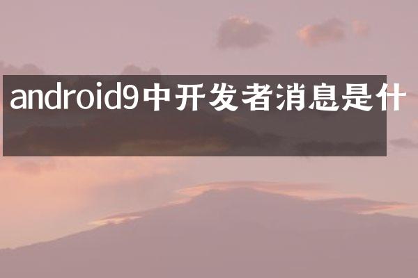 android9中开发者消息是什么