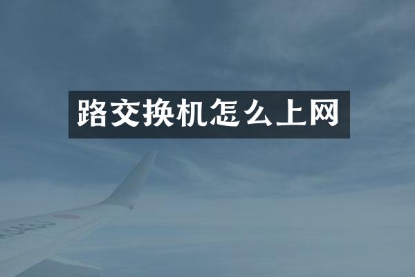 路交换机怎么上网