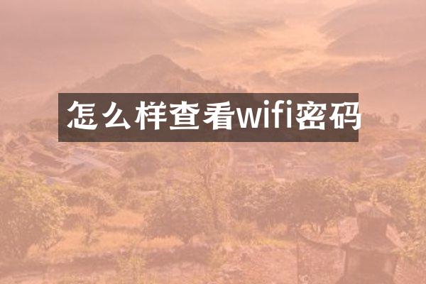 怎么样查看wifi密码