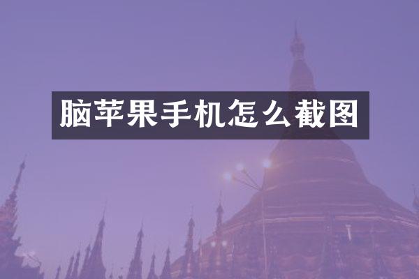 脑苹果手机怎么截图