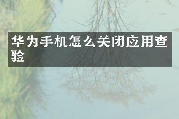 华为手机怎么关闭应用查验