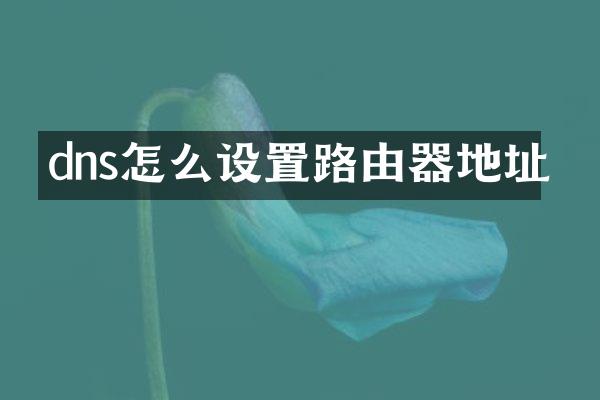 dns怎么设置路由器地址