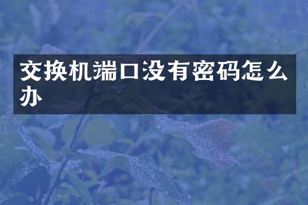 交换机端口没有密码怎么办