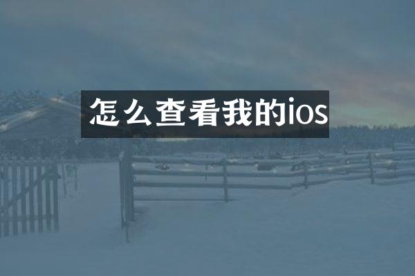 怎么查看我的ios