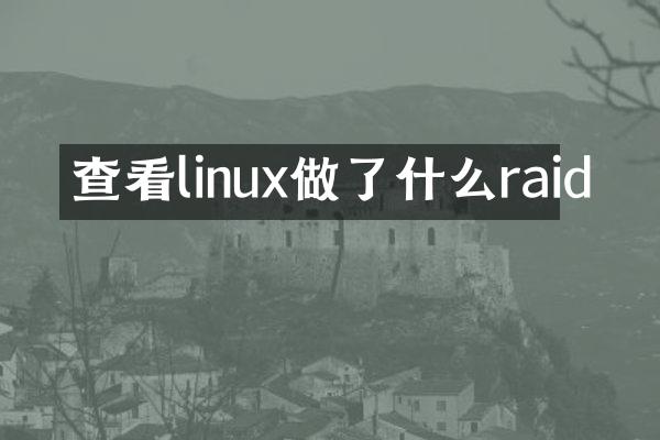 查看linux做了什么raid