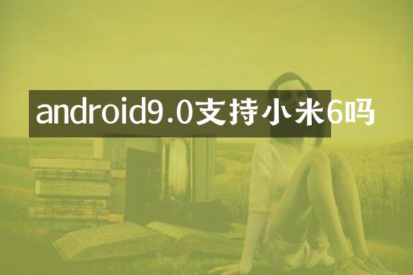 android9.0支持小米6吗