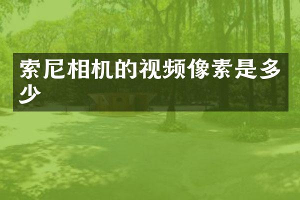索尼相机的视频像素是多少