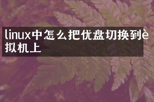 linux中怎么把优盘切换到虚拟机上
