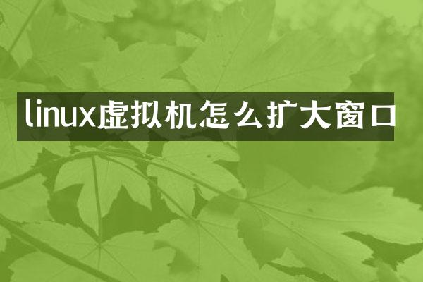 linux虚拟机怎么扩大窗口