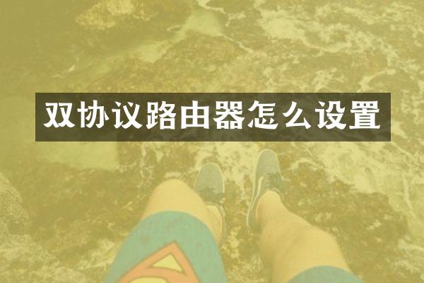 双协议路由器怎么设置