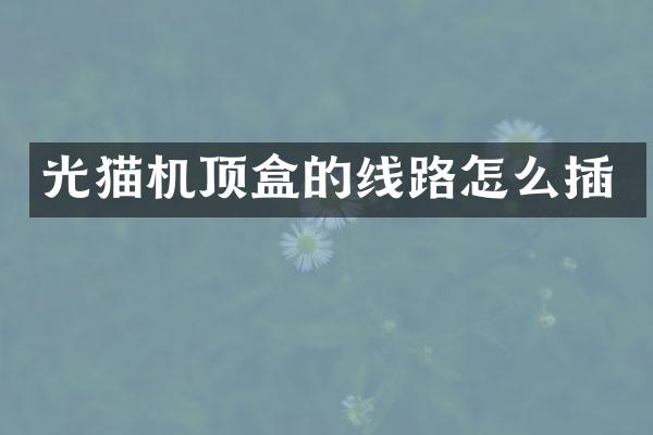 光猫机顶盒的线路怎么插