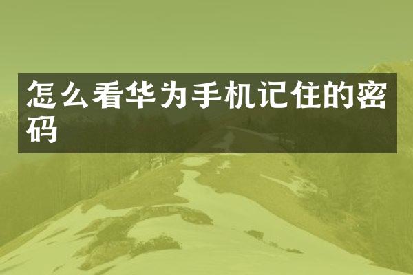 怎么看华为手机记住的密码
