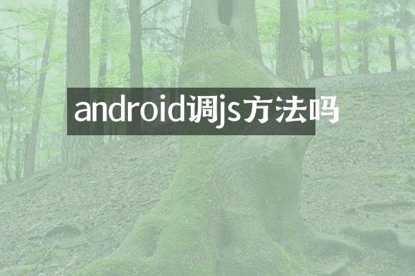 android调js方法吗