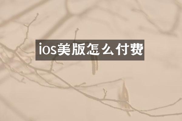 ios美版怎么付费