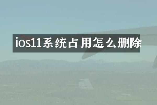 ios11系统占用怎么删除