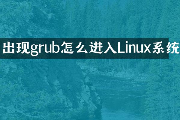 出现grub怎么进入Linux系统