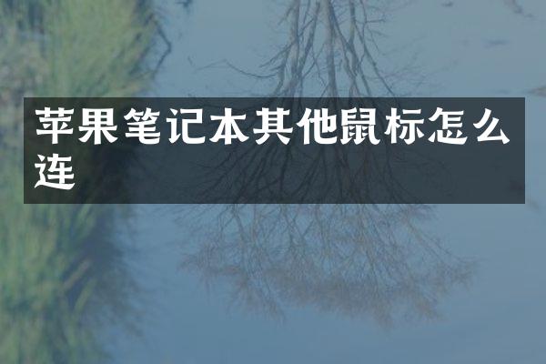 苹果笔记本其他鼠标怎么连