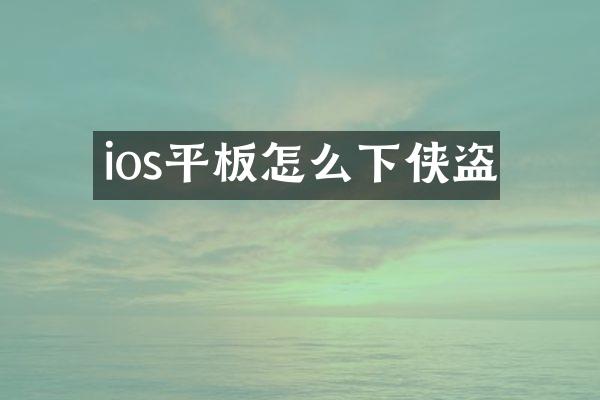 ios平板怎么下侠盗