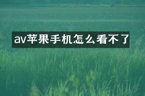 av苹果手机怎么看不了