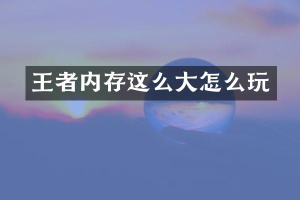 王者内存这么大怎么玩