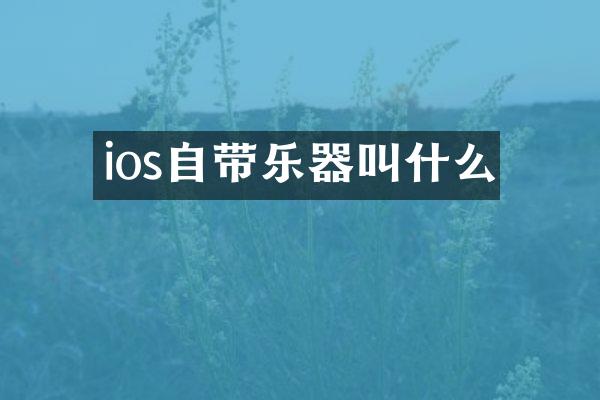 ios自带乐器叫什么