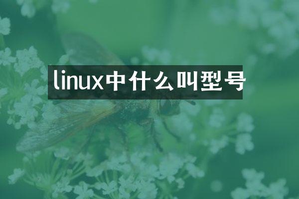 linux中什么叫型号