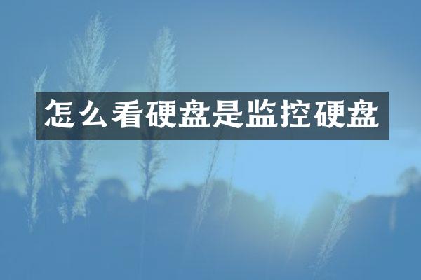怎么看硬盘是监控硬盘