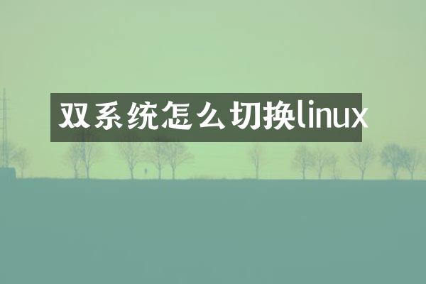双系统怎么切换linux