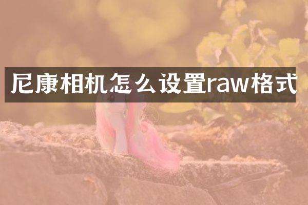 尼康相机怎么设置raw格式