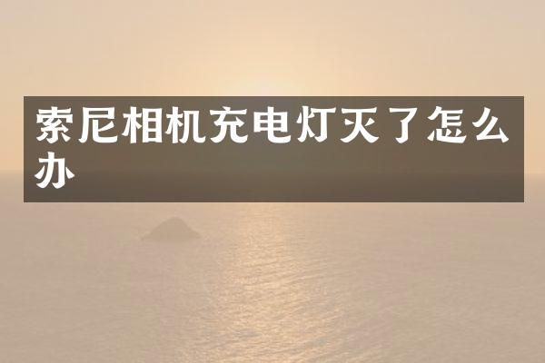 索尼相机充电灯灭了怎么办