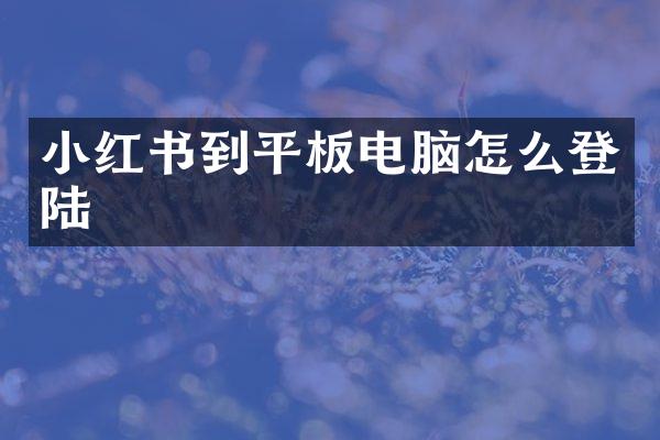 小红书到平板电脑怎么登陆