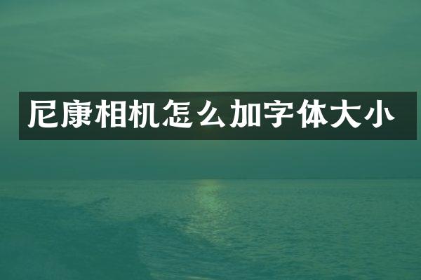 尼康相机怎么加字体大小