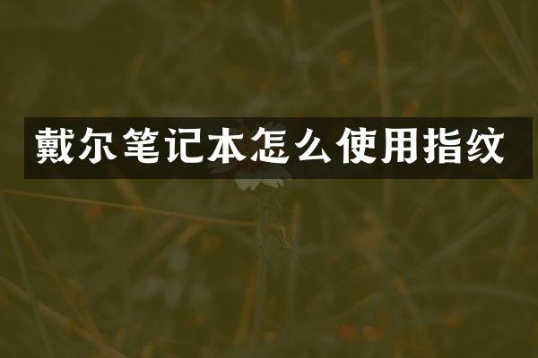 戴尔笔记本怎么使用指纹