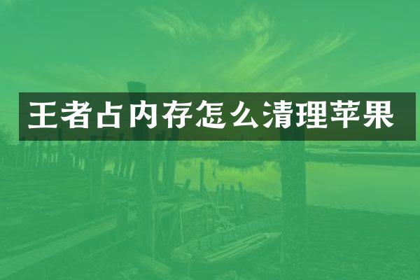 王者占内存怎么清理苹果