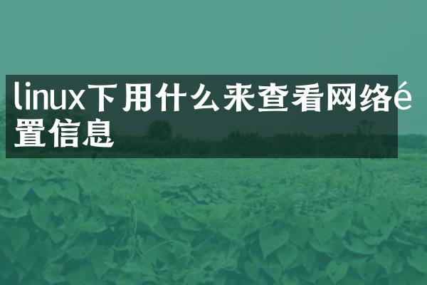 linux下用什么来查看网络配置信息