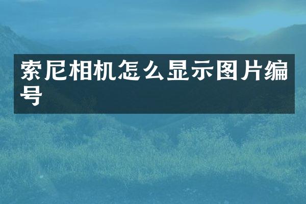 索尼相机怎么显示图片编号