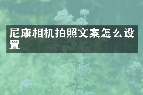 尼康相机拍照文案怎么设置
